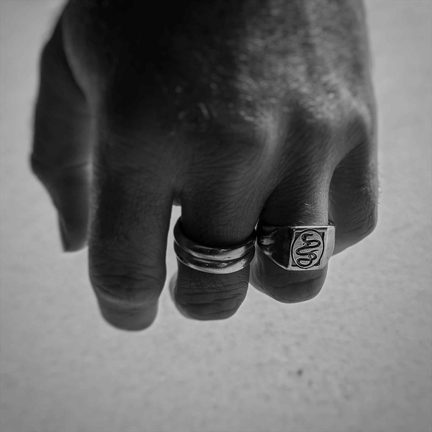Double Headed Snake Signet Ring In 925 Sterling Silver