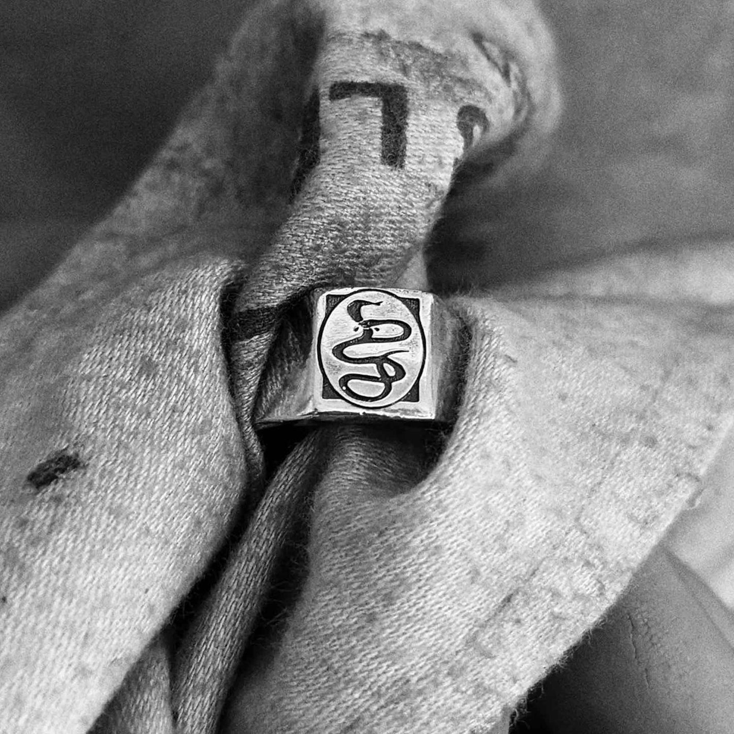Double Headed Snake Signet Ring In 925 Sterling Silver